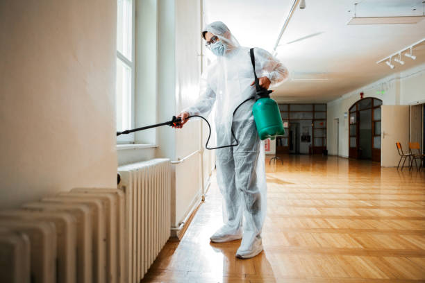 Flea Control Services in Duncansville, PA
