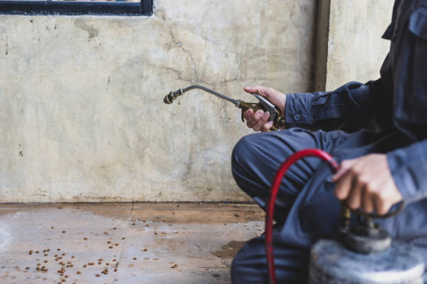 Best Pest Inspection Near Me  in Duncansville, PA